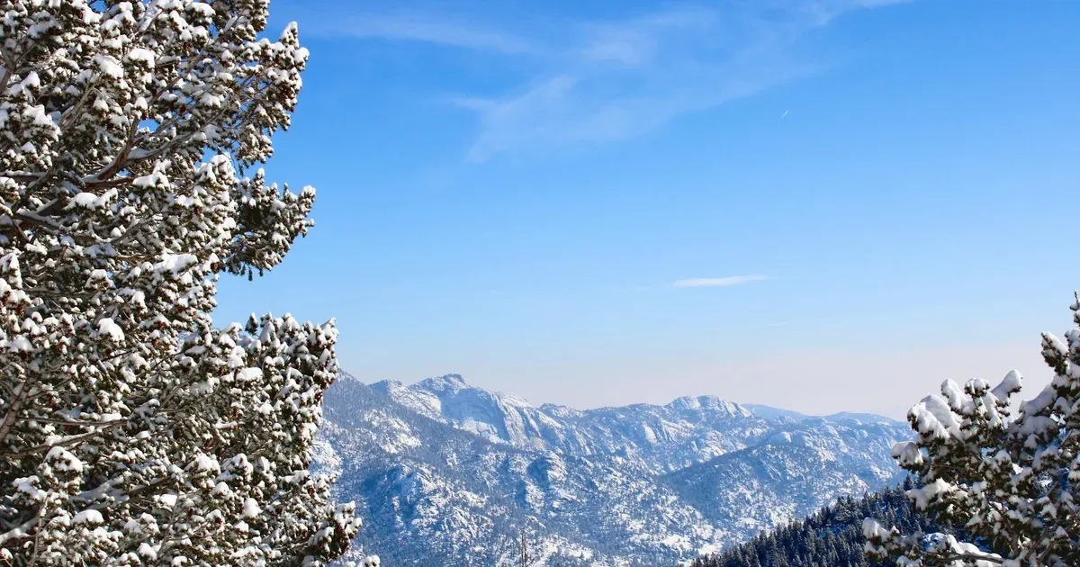 Should Denver Seniors Rent or Buy in Retirement?